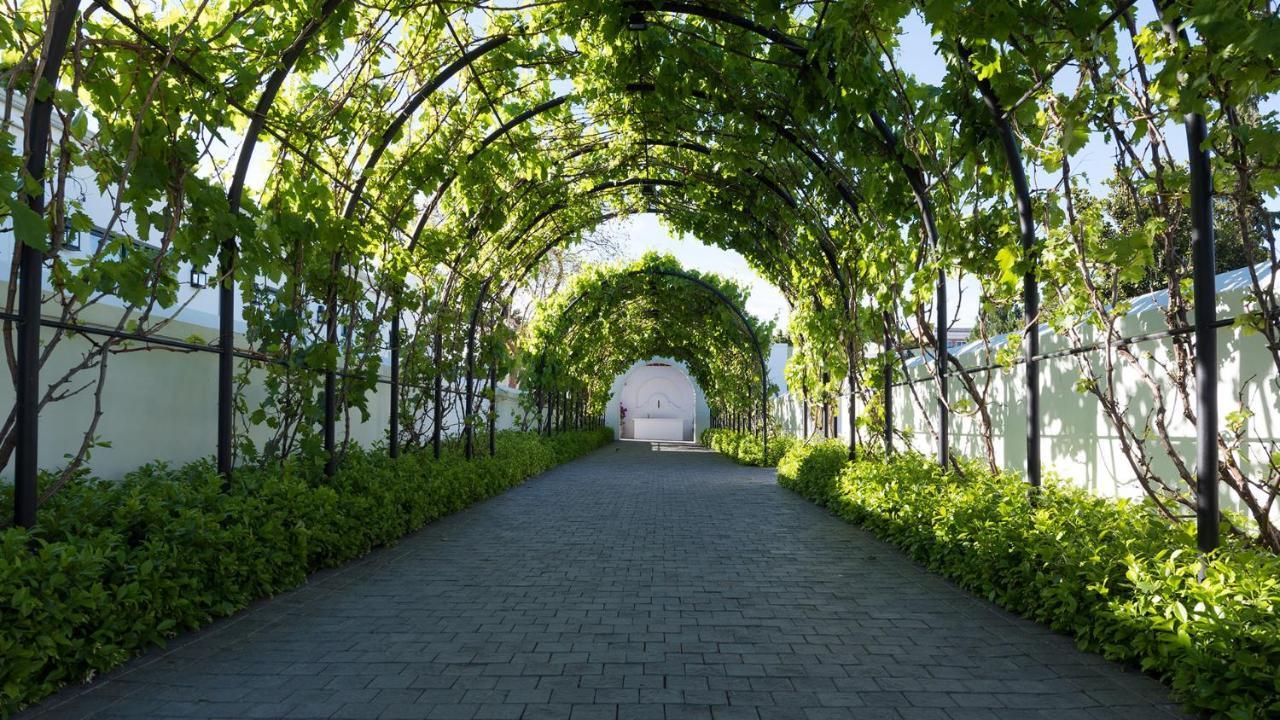 드로스티 호텔 Graaff-Reinet 외부 사진 The Pergola